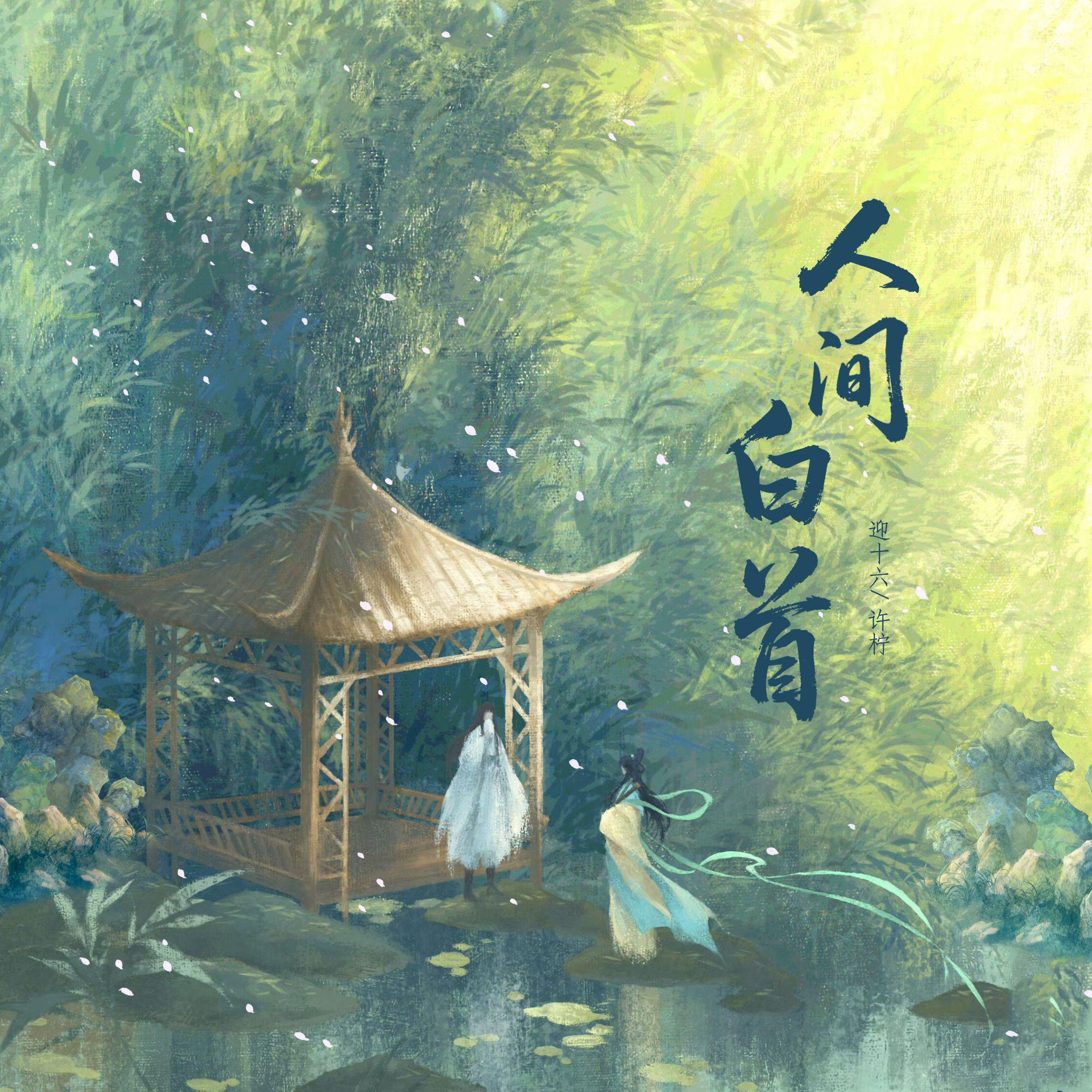 人间白首封面