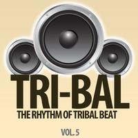 Tri-Bal, Vol. 5