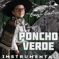 Poncho Verde