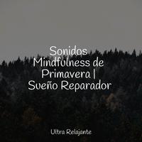 Sonidos Mindfulness de Primavera | Sueño Reparador