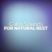 Calm Sounds for Natural Rest