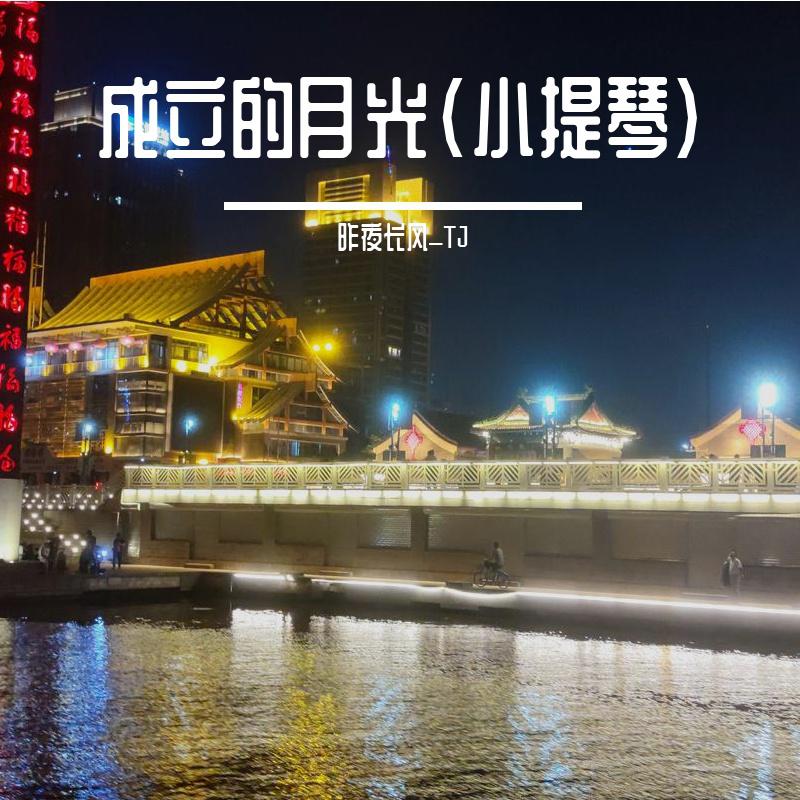 舒伯特小夜曲（小提琴演奏）