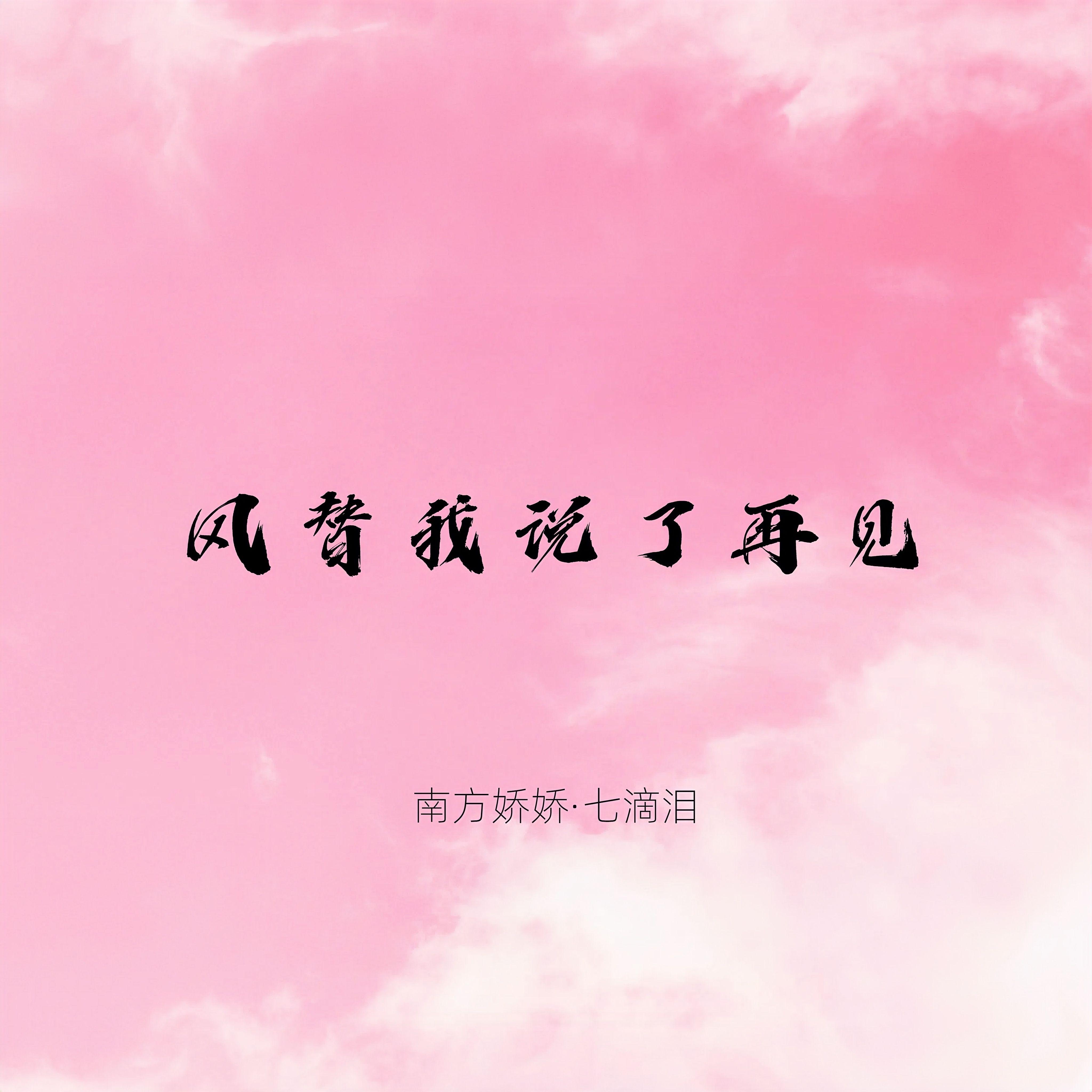 风替我说了再见 伴奏封面