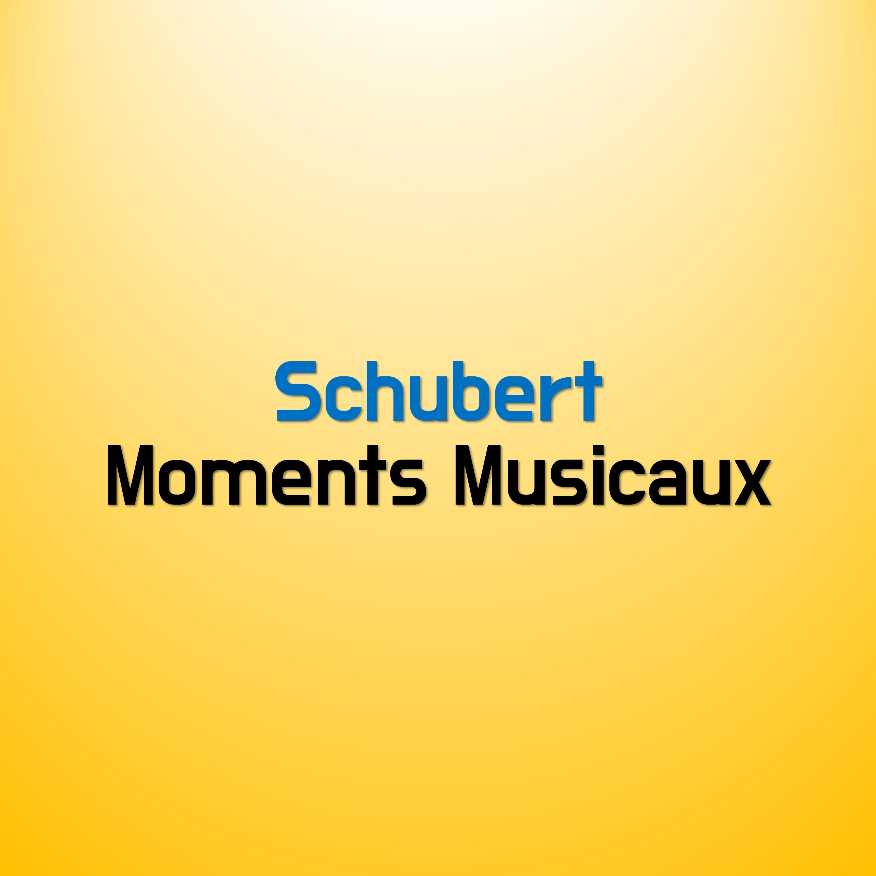 舒伯特音乐瞬间