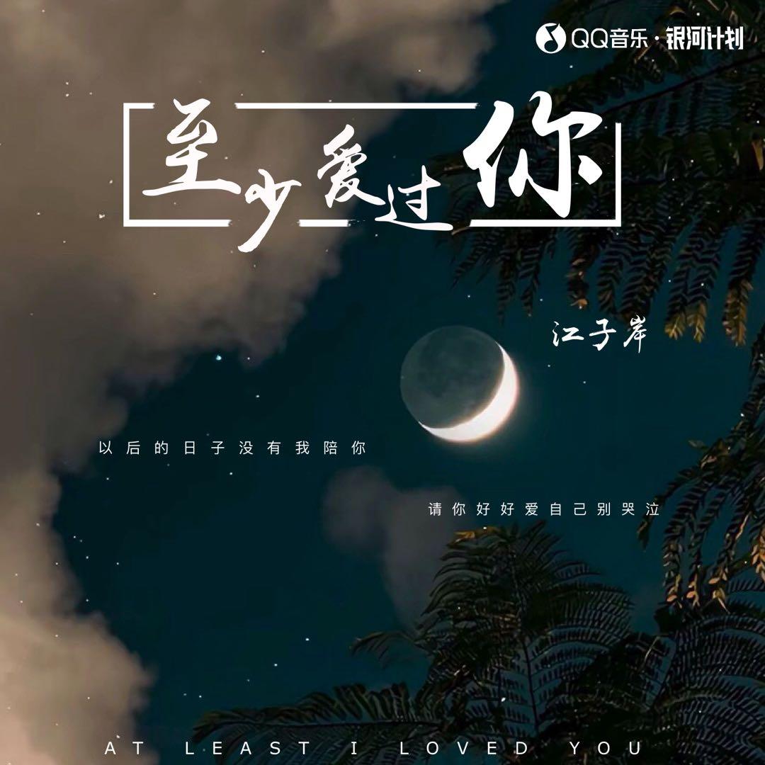 至少爱过你封面