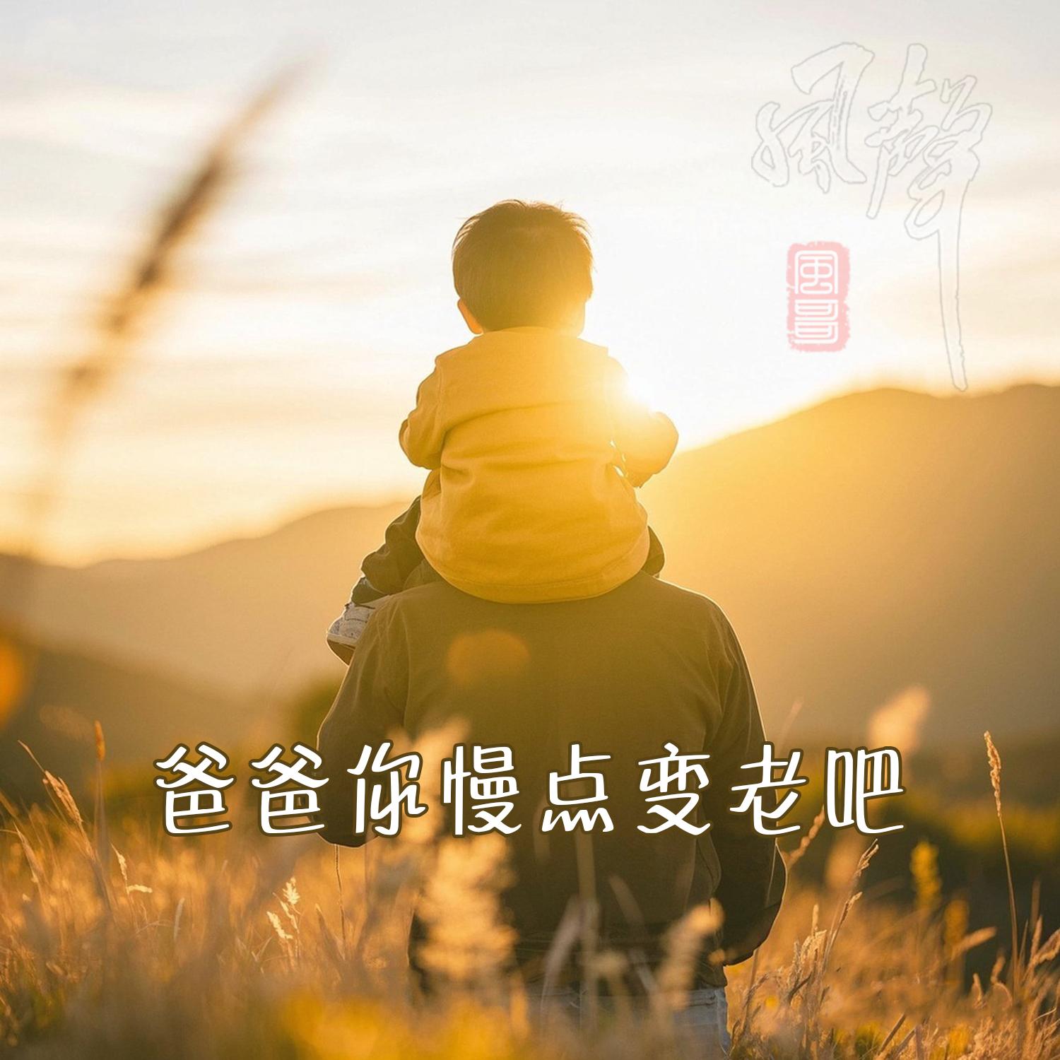 爸爸你慢点变老吧封面