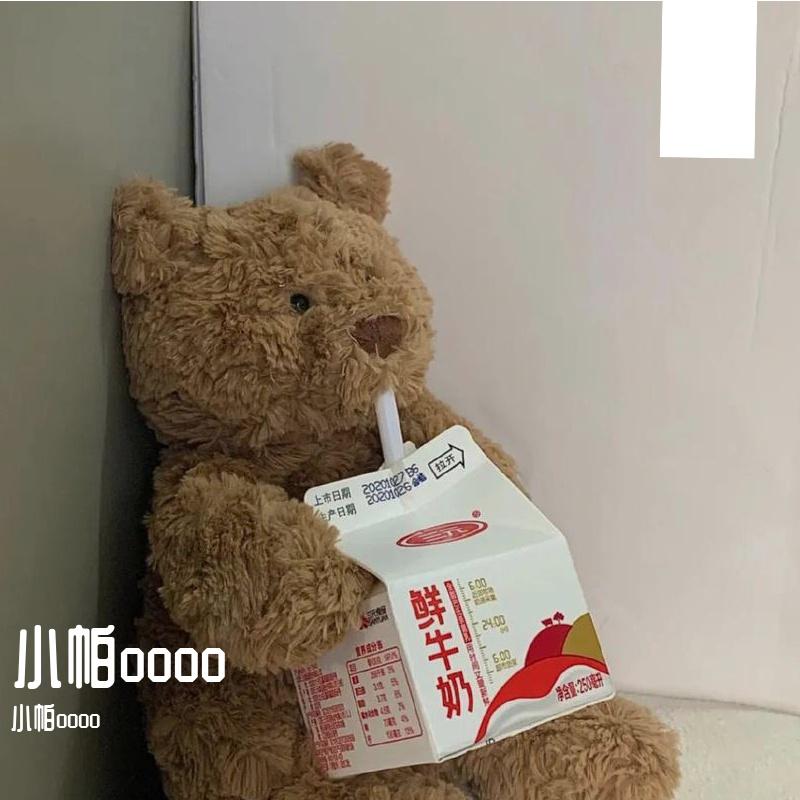 星光的祭典封面