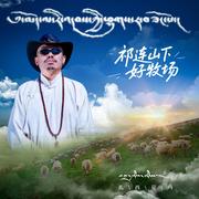 祁连山下好牧场