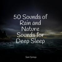 50 Sounds of Rain and Nature Sounds for Deep Sleep