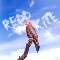 Redd Kite