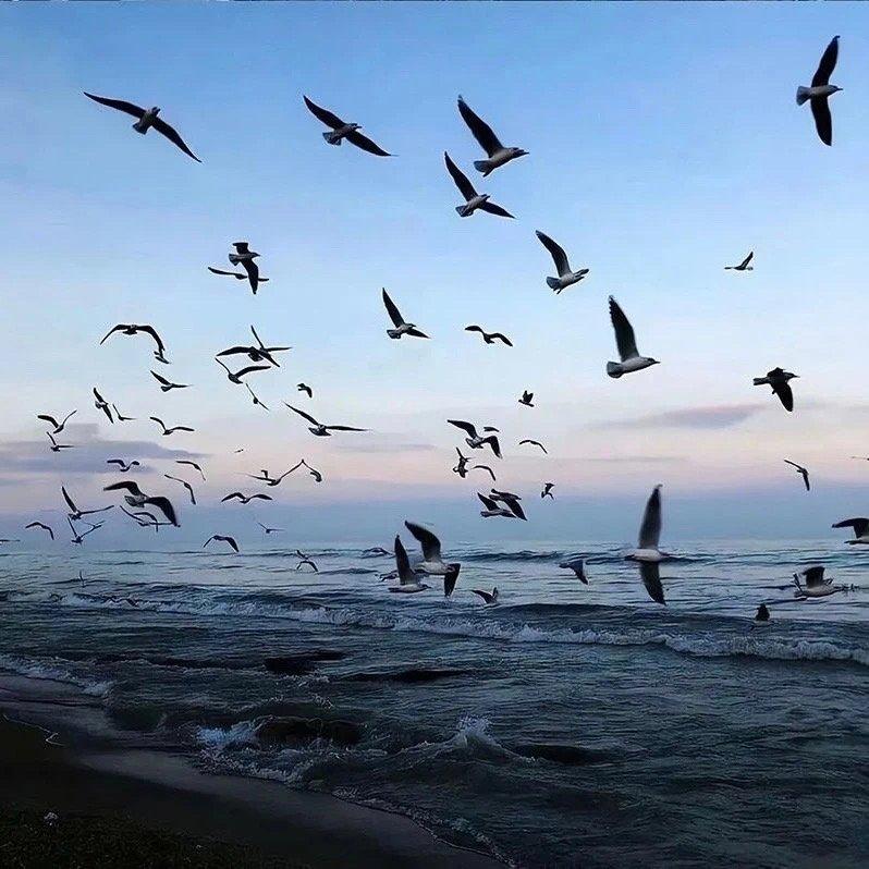 助眠/学习/码字轻音乐合集