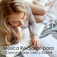 Música Relajante para Concentrarse, Leer y Dormir