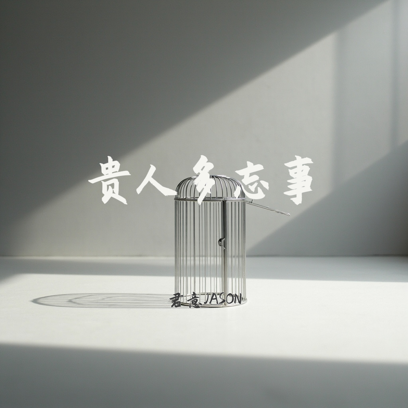 贵人多忘事封面