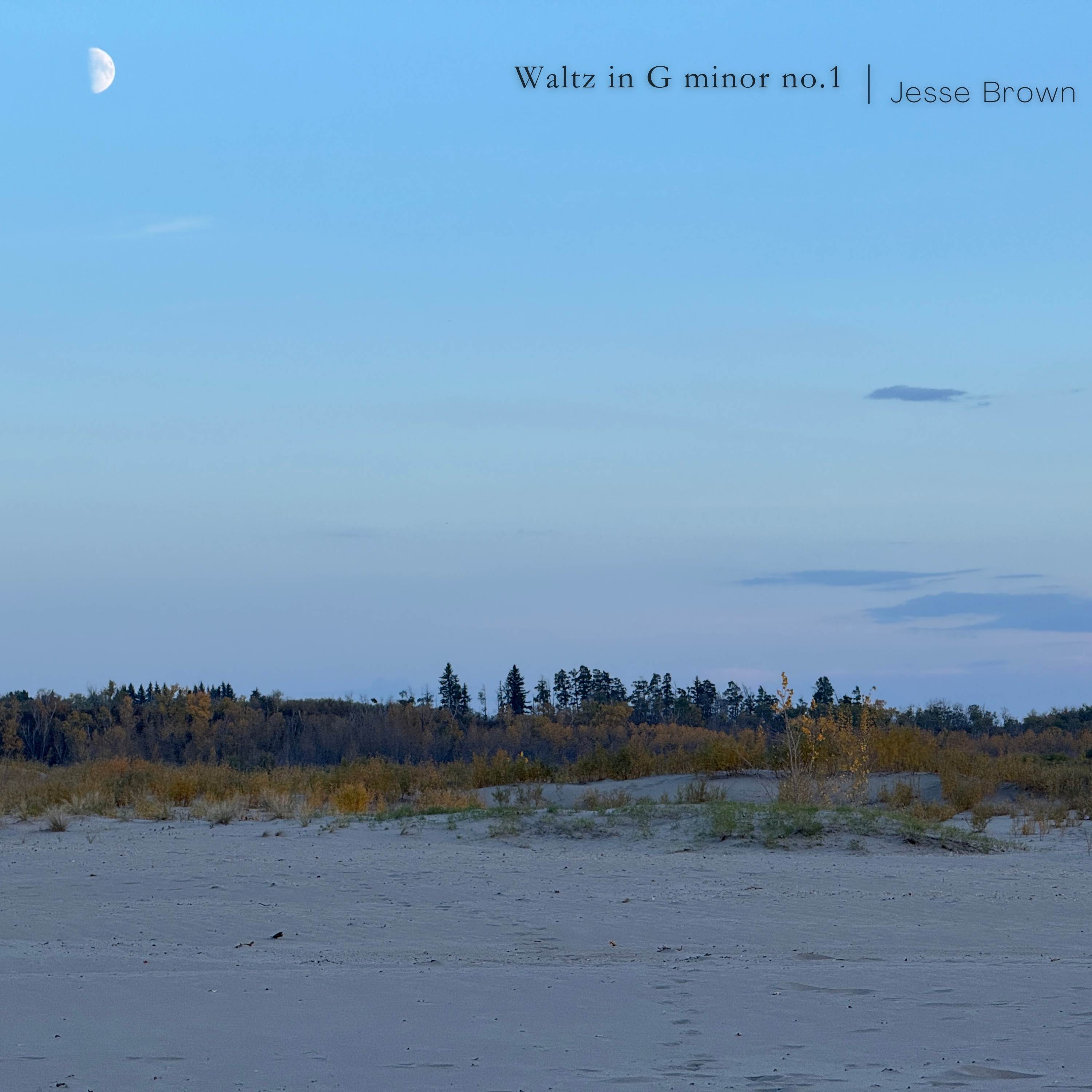 Waltz in G minor no. 1