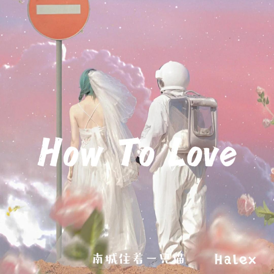 How To Love（Remix）封面