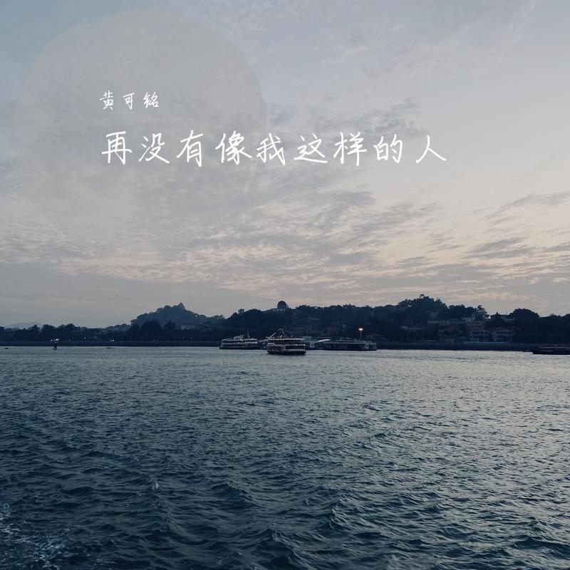 再没有像我这样的人