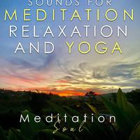 Meditation Soul资料,Meditation Soul最新歌曲,Meditation SoulMV视频,Meditation Soul音乐专辑,Meditation Soul好听的歌