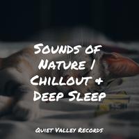 Sounds of Nature | Chillout & Deep Sleep