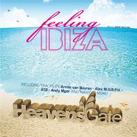 Feeling Ibiza 2020 (Mixed)