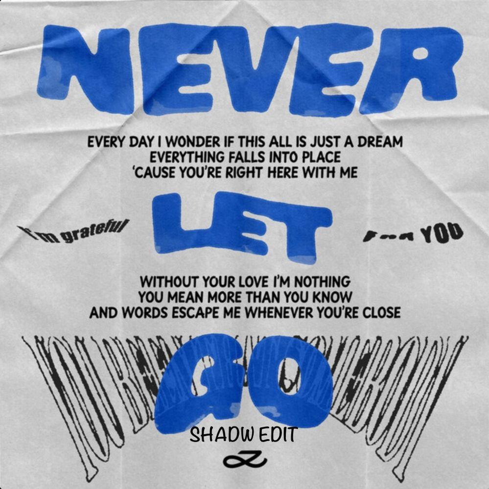 Never Let Go (Shadw Edit)