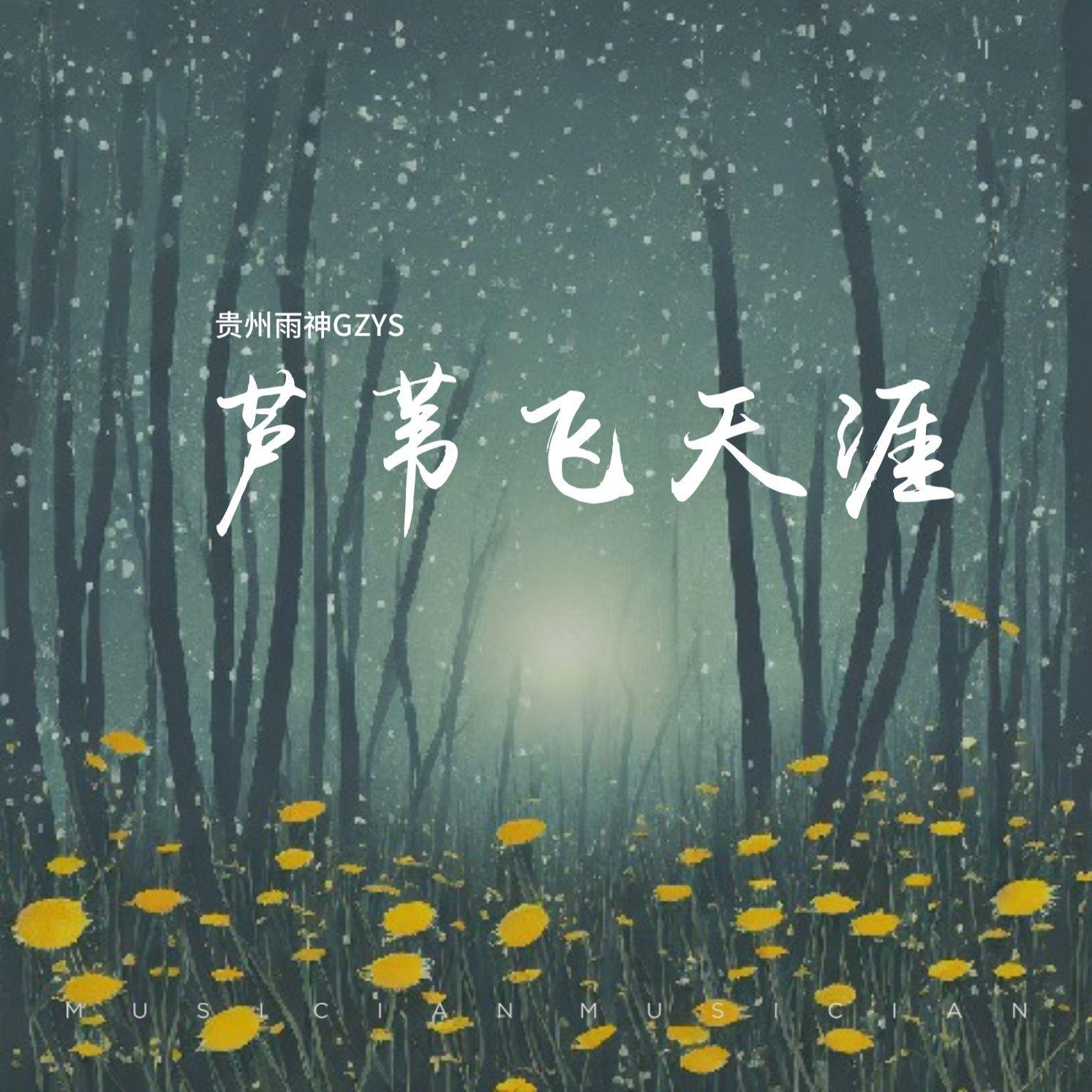 芦苇飞天涯封面