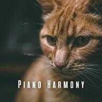 Piano Harmony: Dreamy Tunes for Contented Cats