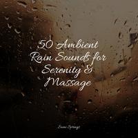 50 Ambient Rain Sounds for Serenity & Massage