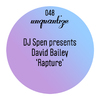 David Bailey - Rapture (Main Mix)
