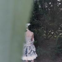 温青枳
