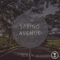 Spring Avenue