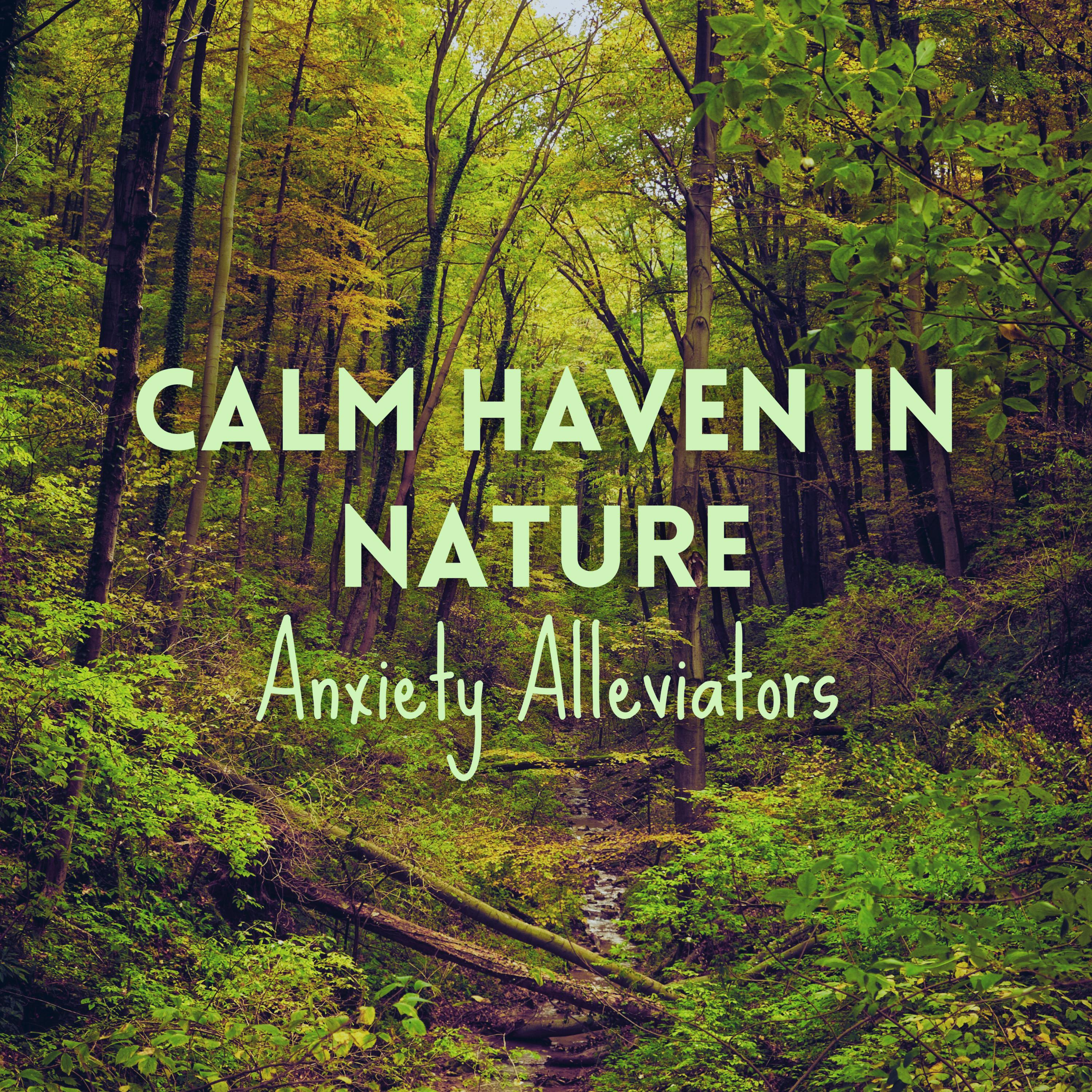 Sunset Bliss: Stress Reliever_Forest Sounds._Calm Haven in Nature: Anxiety Alleviators | 在线播放_Sunset Bliss: Stress Reliever歌词_Sunset Bliss: Stress Reliever下载 | 网易云音乐