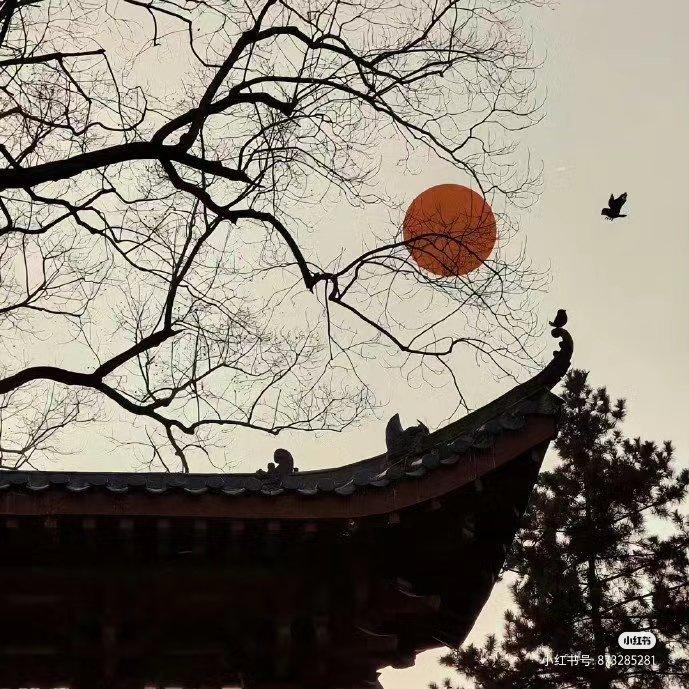 无题封面
