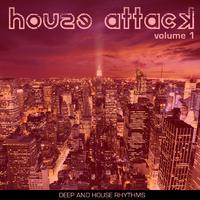 House Attack Volume 1