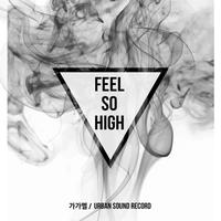 Feel So High