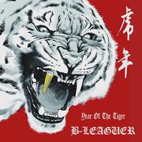 Year of the Tiger