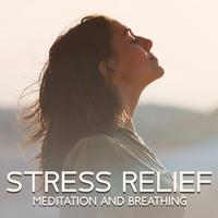 Stress Relief Meditation and Breathing (Mindful and Relaxing Music to Lower Your Cortisol)