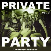 Private Party, Vol. 3