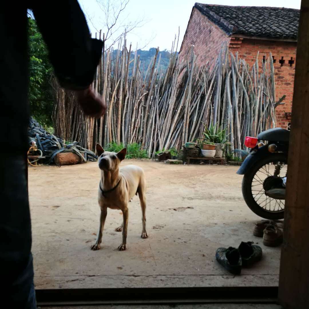 回到那个地方_阿垃_停不下的自由 | 在线播放_回到那个地方歌词_回到那个地方下载 | 网易云音乐