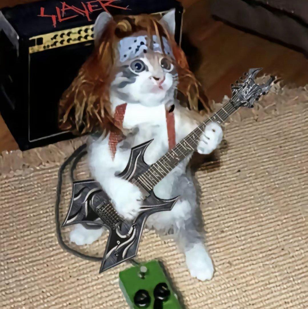 摇滚小猫拯救世界!!