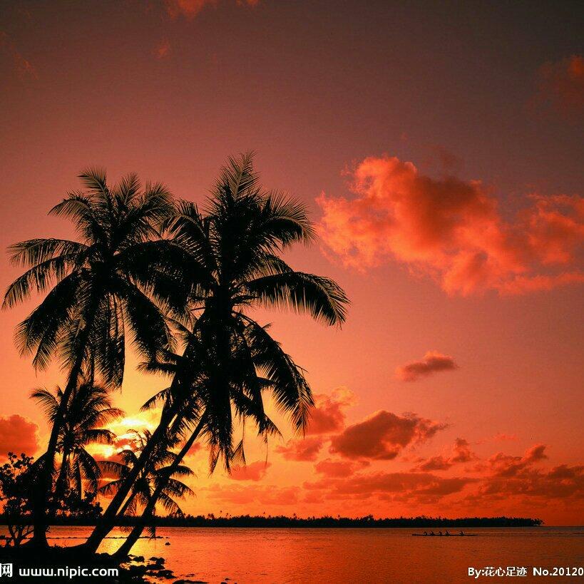 TED英语演讲(ง •̀_•́)ง