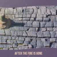 After The Fire Is Gone