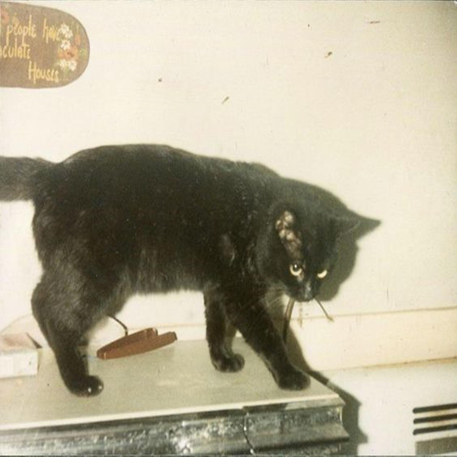 Anatolian Space Pimping