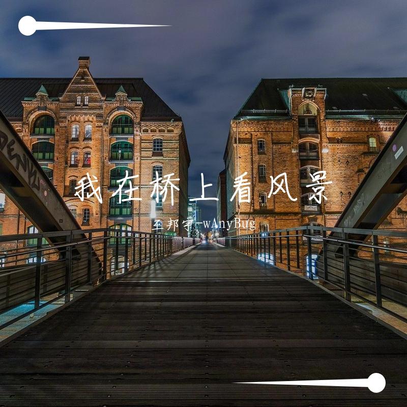 我在桥上看风景 - 王邦宇-wAnyBug封面