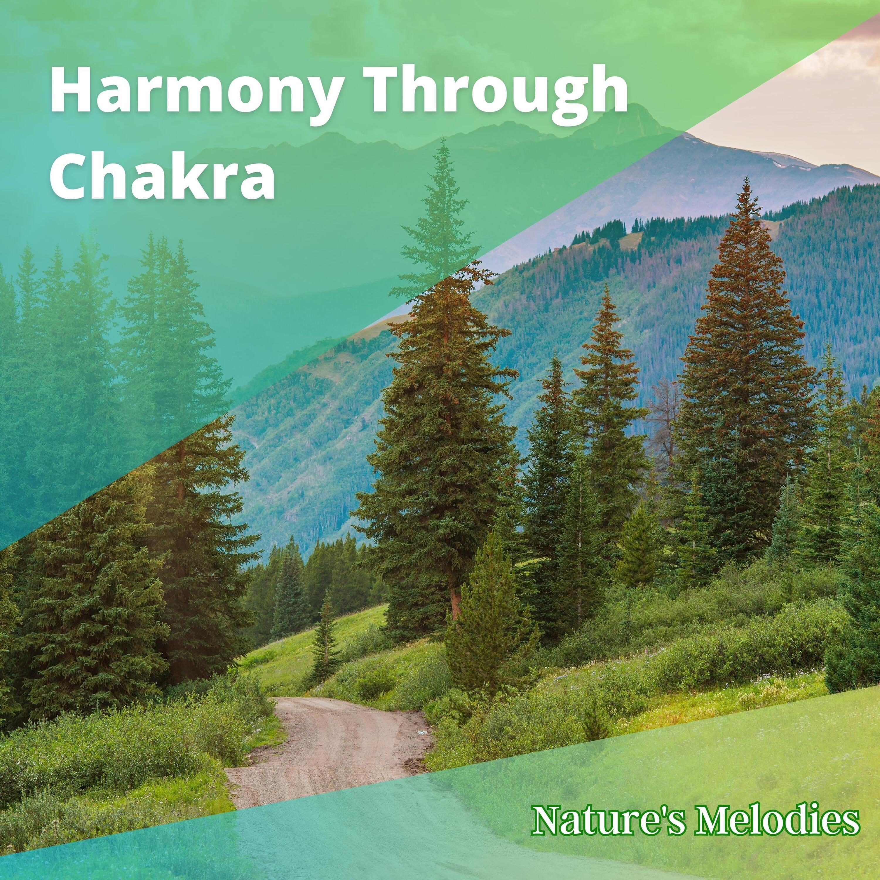 Contemplative Action_Nature's Melodies_Harmony Through Chakra Alignment and Meditation | 在线播放_Contemplative Action歌词_Contemplative Action下载 | 网易云音乐