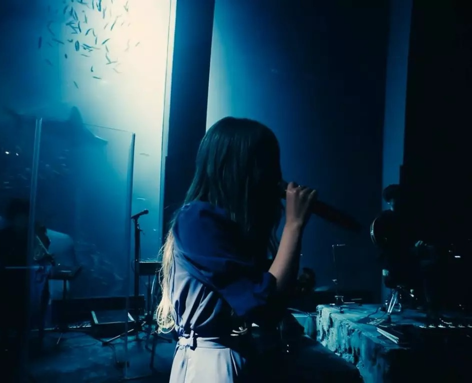 suis（suis from ヨルシカ/suis from Yorushika） - 歌手 - 网易云音乐