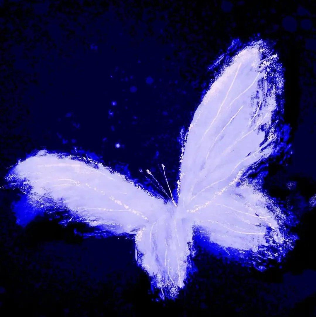 思念是你给我的制裁