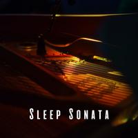 Sleep Sonata: Gentle Piano Melodies for a Sound Sleep