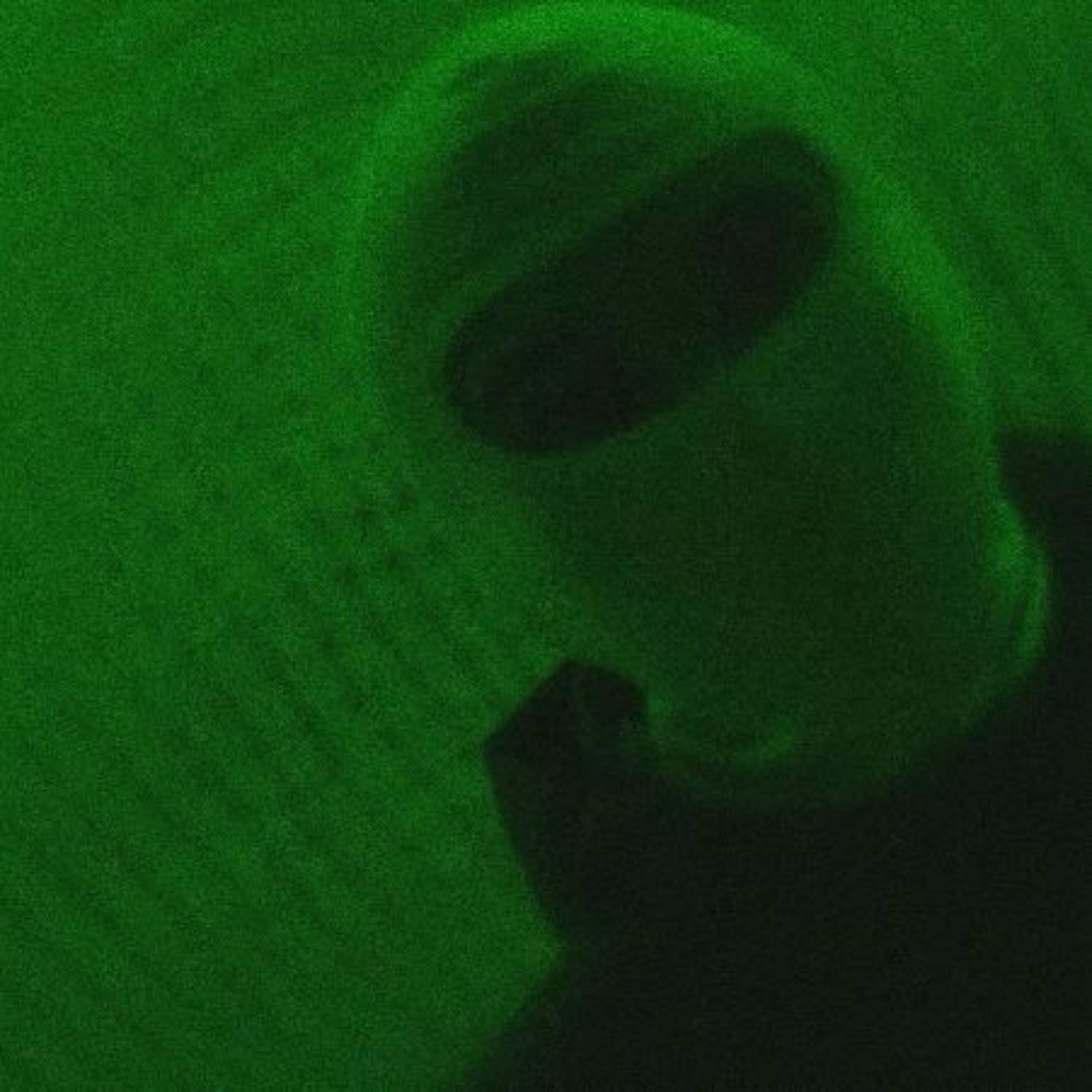 ¿que ha sido de ti?