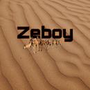 Zeboy