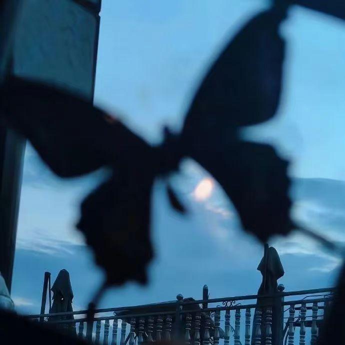 亲爱的x 见字如面